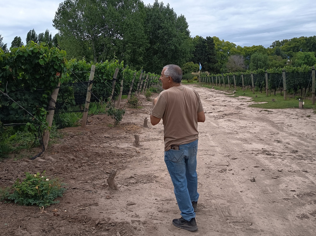 Bodega Hacienda del Plata-路冉得库约必去景点