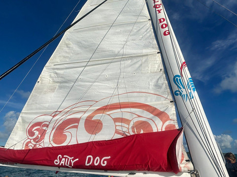 Salty Dog Catamaran-法哈多必去景点