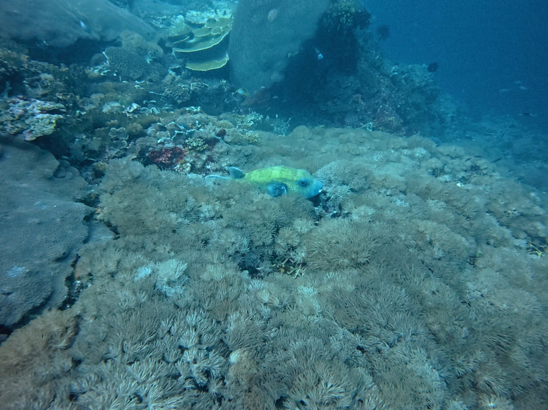 Legend Diving Lembongan-蓝梦岛必去景点