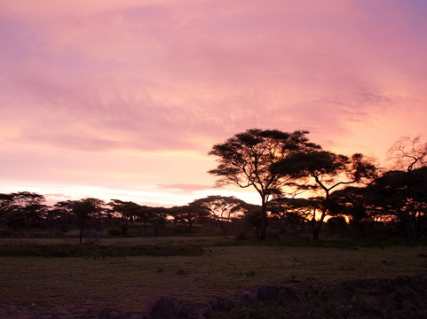 Great Escape Trails-莫西必去景点