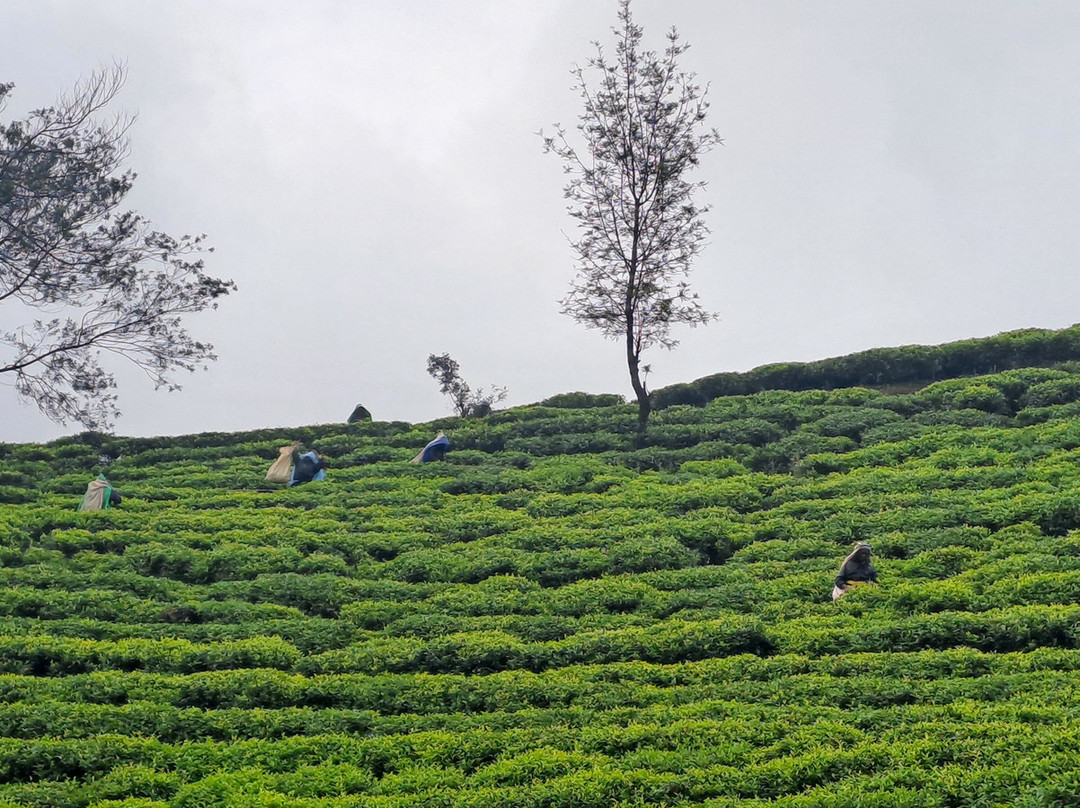 Jetco Lanka Tours-Kiribathgoda必去景点