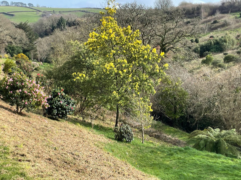 Fast Rabbit Farm Gardens-达特茅斯必去景点