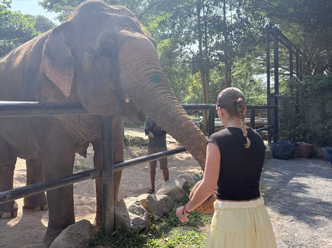 Samui Elephant Sanctuary-波普特必去景点