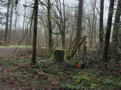 Lewis and Clark State Park-Toledo必去景点