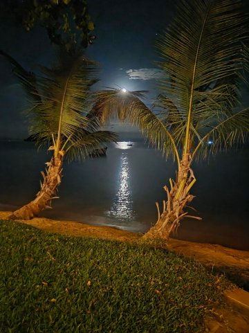 姆哥萨旅馆-官方