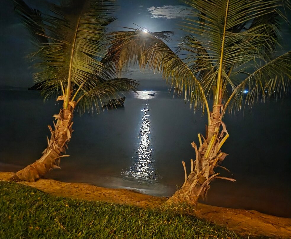 姆哥萨旅馆主图