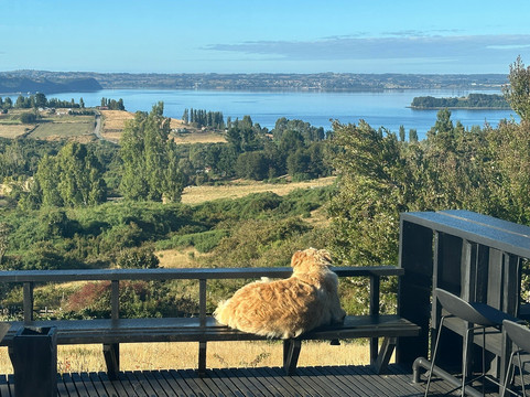 Hotel & Cava Estancia Rilán By Elohi Collection主图