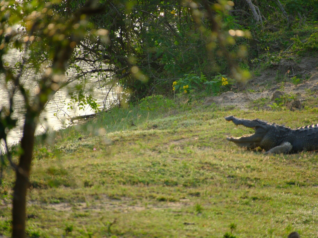 Omaari Lanka Tours-Dankotuwa必去景点