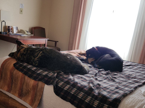 格兰德卡什套房酒店主图