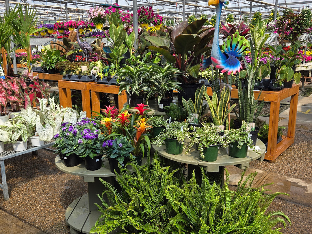 Windmill Garden Centre and Butterfly House-梅迪辛哈特必去景点