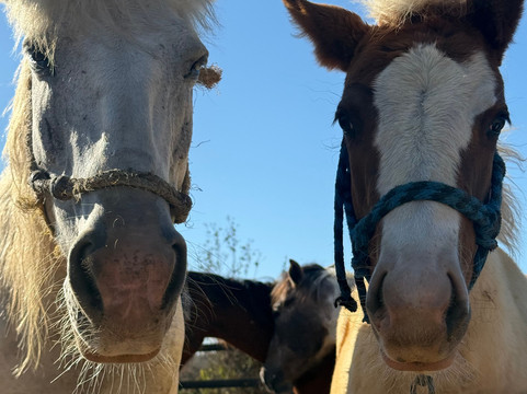 Cerritos Cowboy-Playa Cerritos必去景点