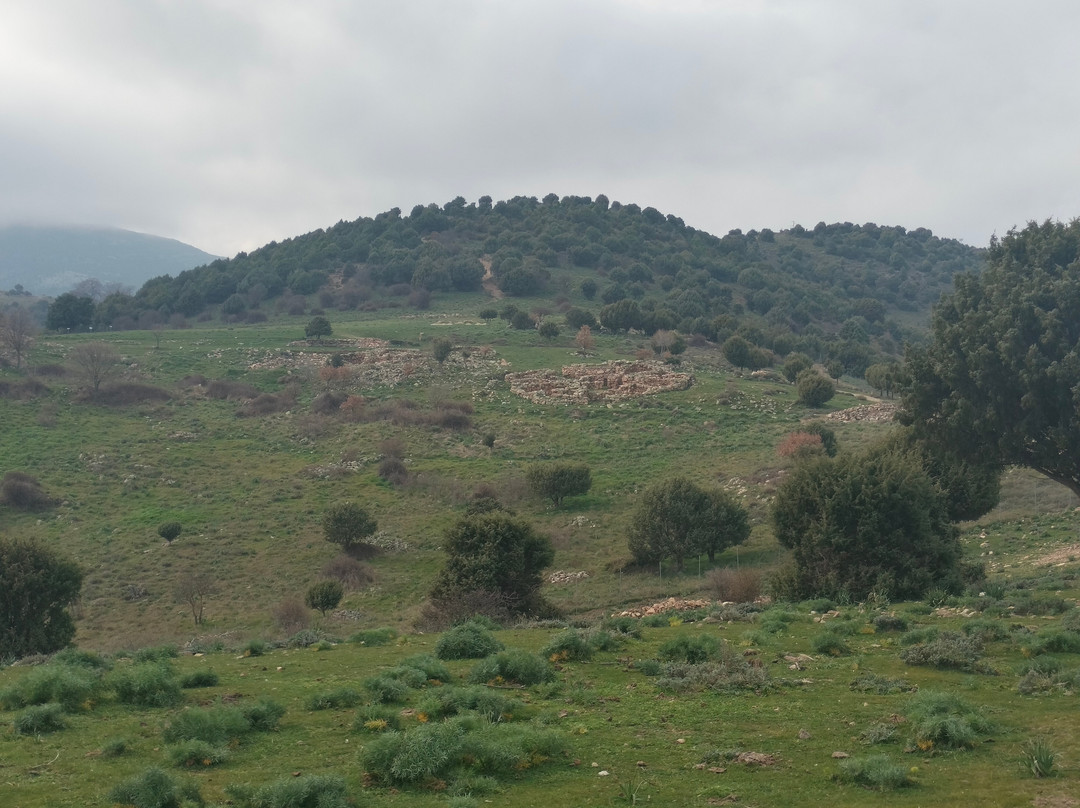 Il Santuario di S'arcu es Forros-Villagrande Strisaili必去景点