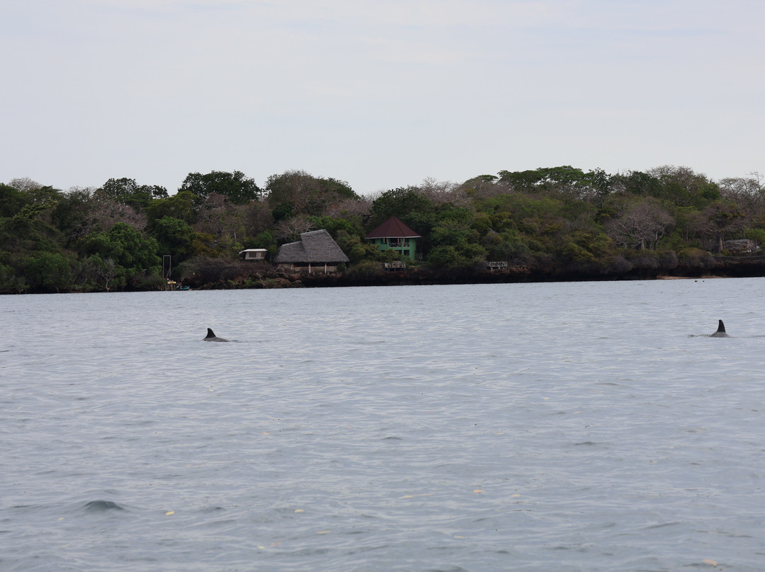 Imara Africa Safaris-内罗毕必去景点