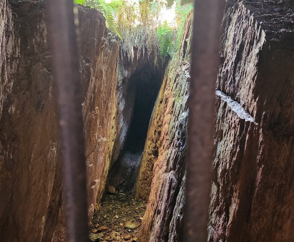 Gold Hill Mines Historic Park-Gold Hill必去景点