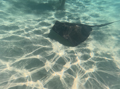 Crazy Crab Private Boat Charters-Camana Bay必去景点