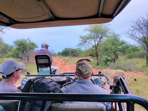 Karongwe Private Reserve-霍德斯普鲁特必去景点