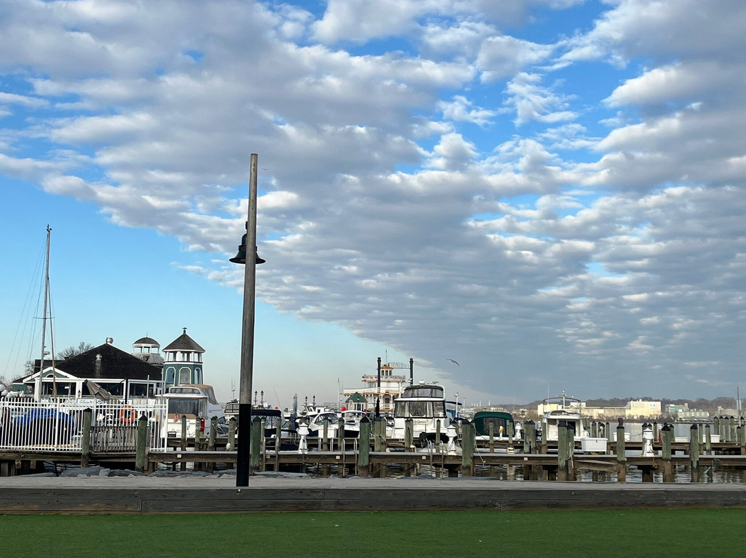 Waterfront Park-亚历山德里亚必去景点