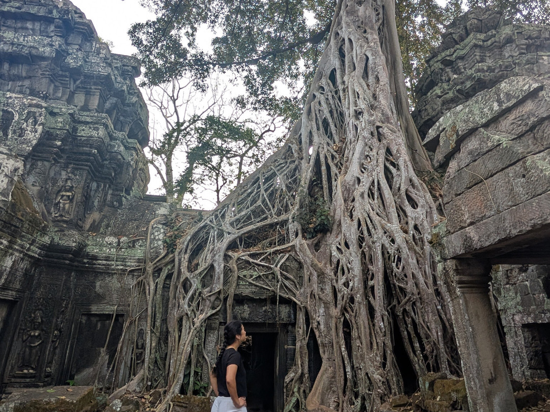 Trusty Tuk Tuk-暹粒必去景点