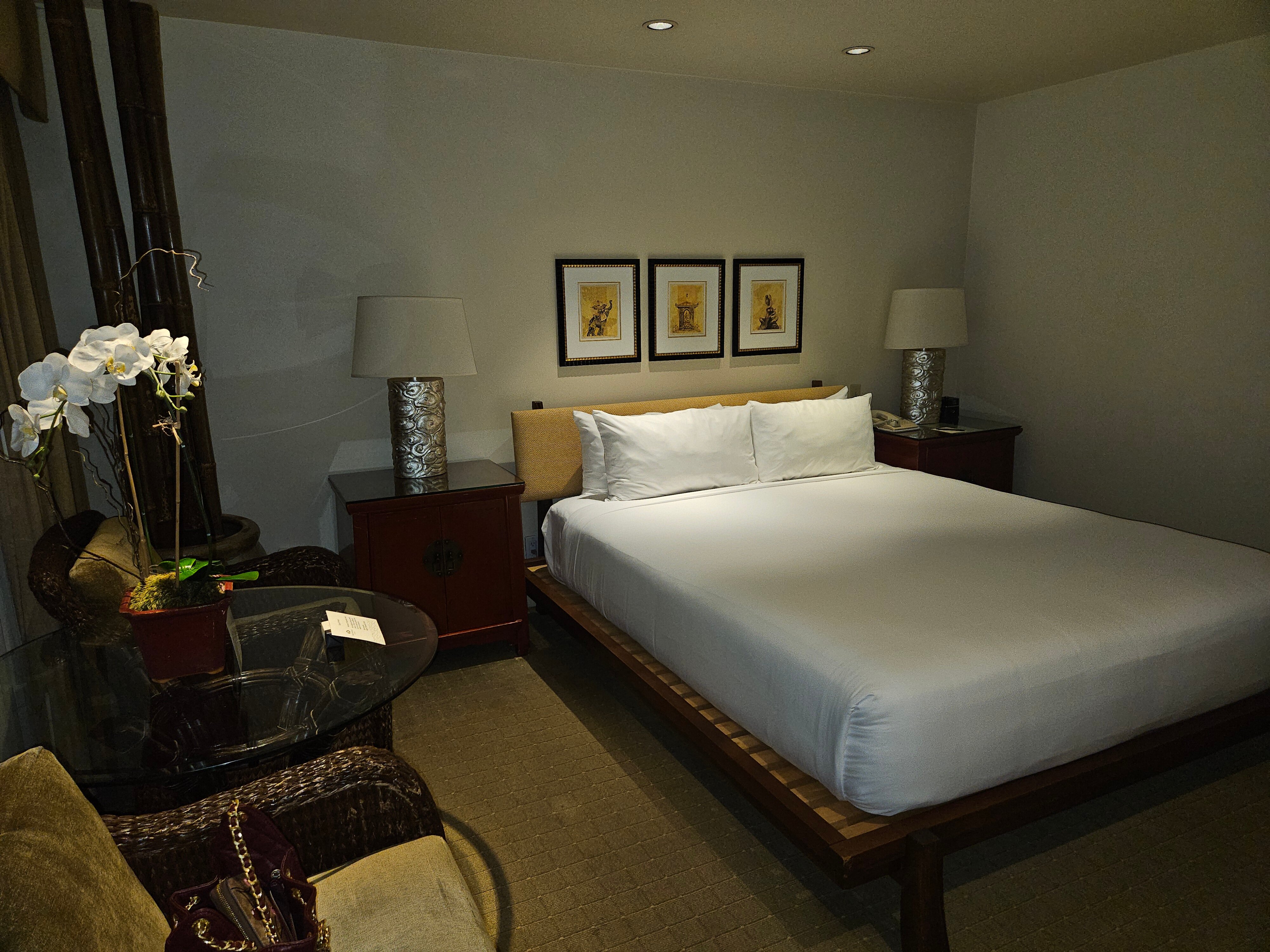 贸易风卡梅尔酒店-官方