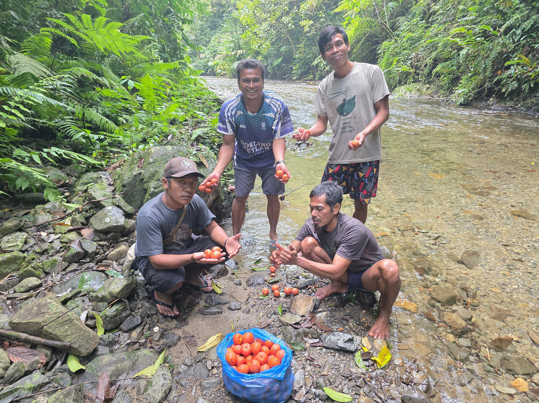 Orangutan Treking Camp-武吉拉旺必去景点