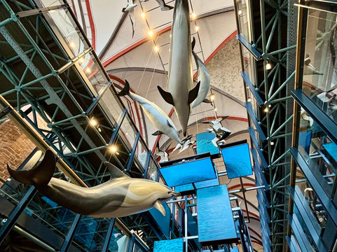 Meeresmuseum-施特拉尔松德必去景点