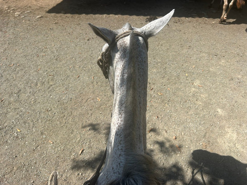 Rancho La Merced National Wildlife Refuge-乌维塔必去景点