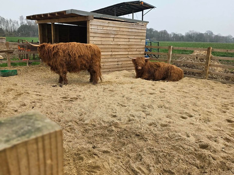 Quex Park-Birchington必去景点