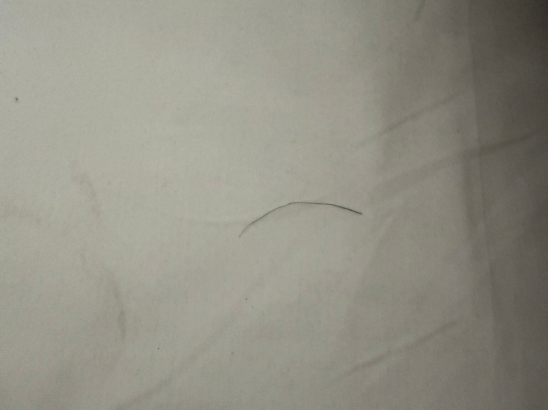 Termas de Cauquenes主图