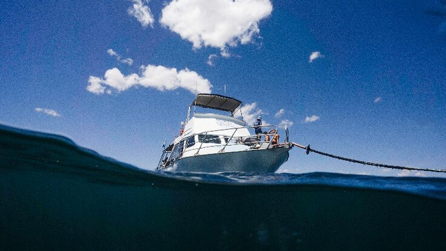 Ningaloo Reef Dive & Snorkel-珊瑚湾必去景点