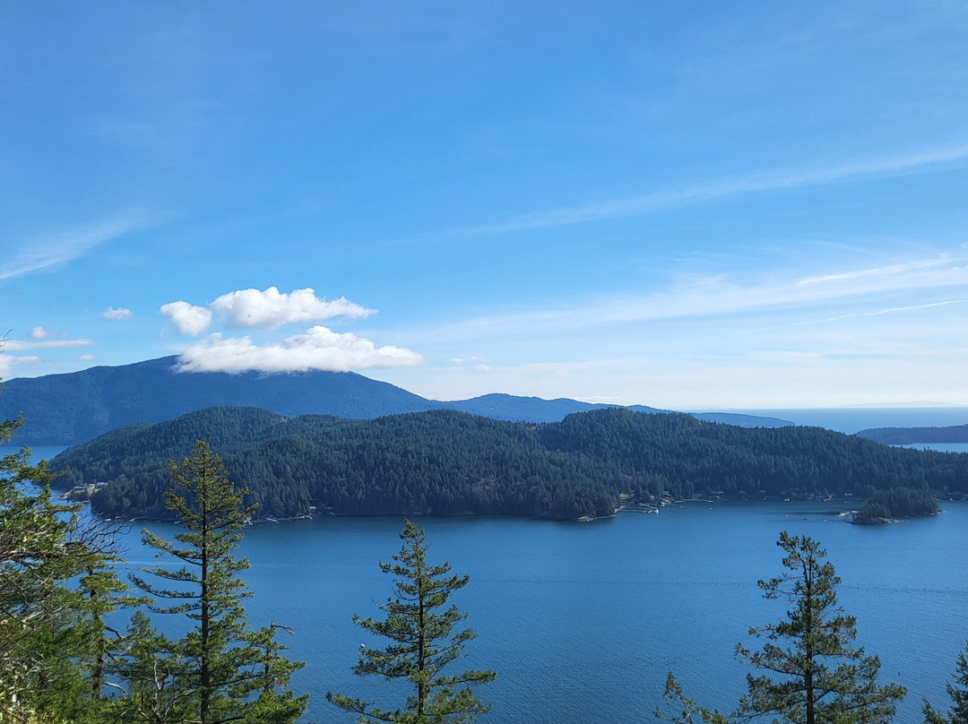 Soames Hill (aka Knob Hill)-吉布森斯必去景点