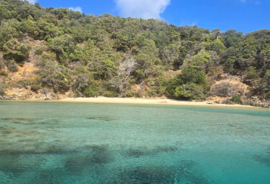 Wow Wilderness Ecocruises-沃泊尔必去景点