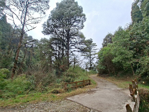 Adventures Unlimited-大吉岭必去景点