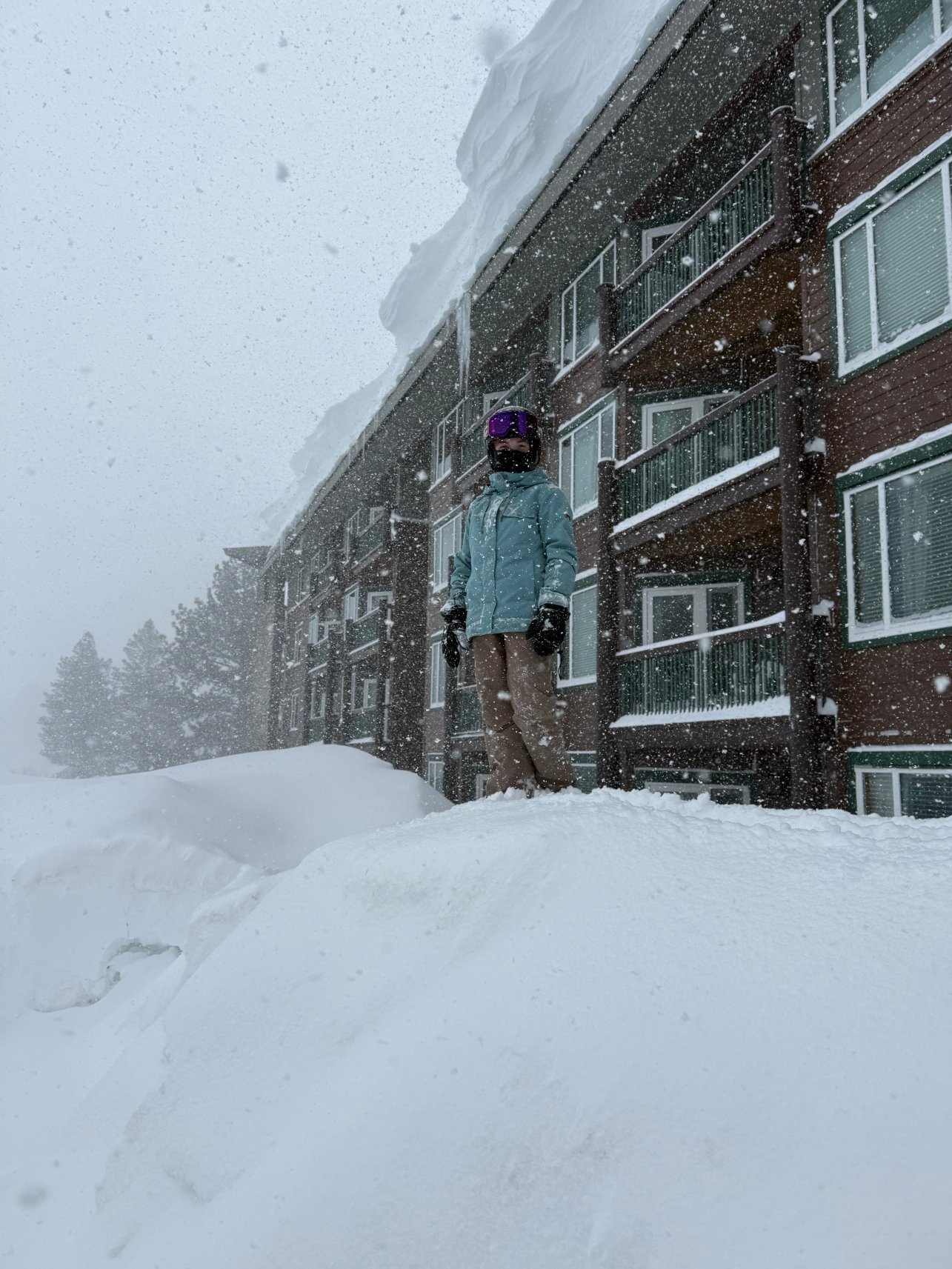 瞻博温泉度假村-官方