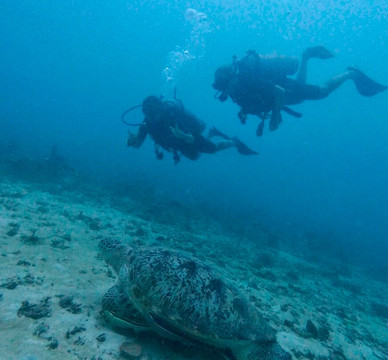 Meno Dive Club-Gili Meno必去景点