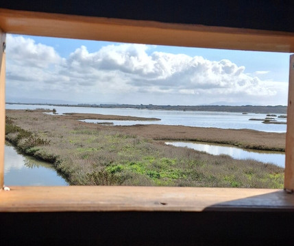 Riserva Naturale Diaccia Botrona-佩斯卡亚堡必去景点