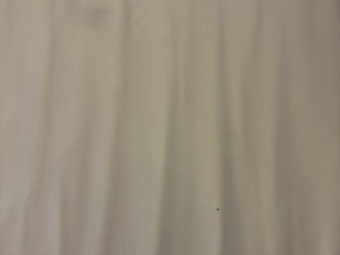 舒适酒店格伦蒙特 - 奥尔巴尼南主图