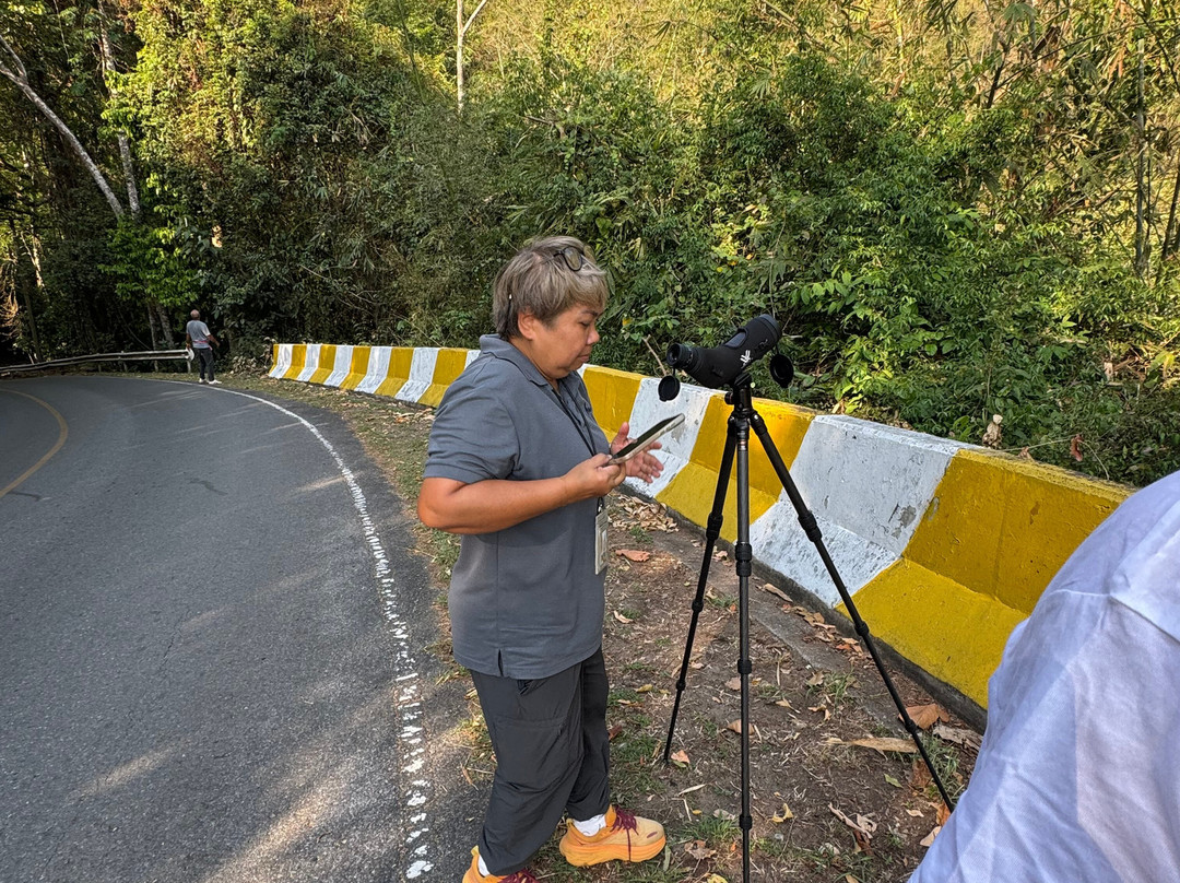 考艾自然生活及旅游酒店主图