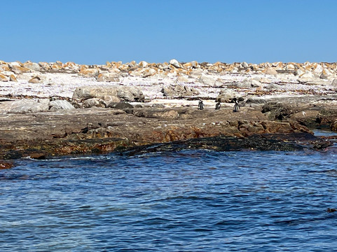 Cape Coast Expeditions-Yzerfontein必去景点