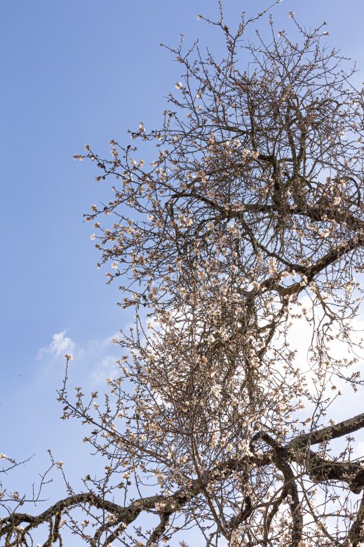 卡萨福拉斯住宿-度假村/酒店