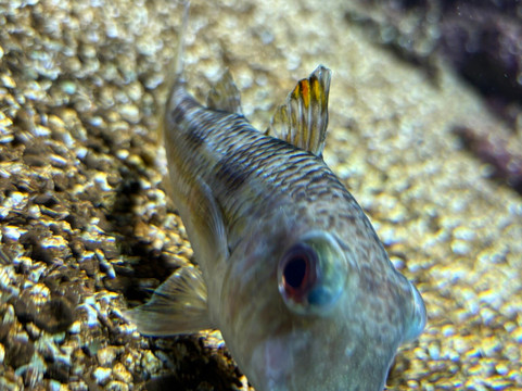 CRETAquarium-Gournes必去景点