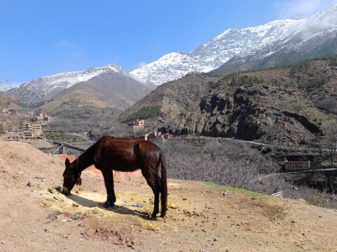 Mosalah Treck & More-伊姆利勒必去景点