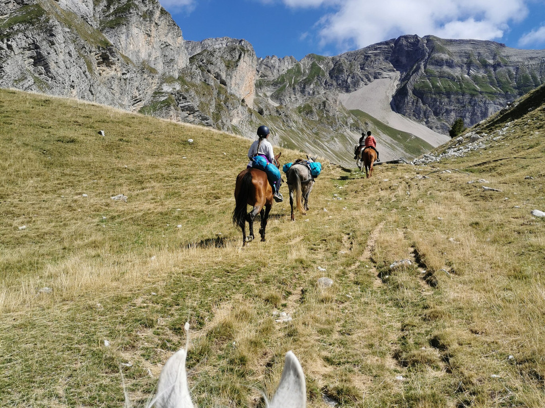 Ferme équestre du Grand Bois-Mison必去景点