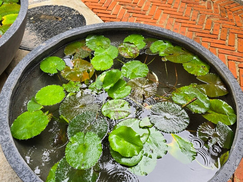 Sun World Ba Na Hills Cable Car-岘港必去景点