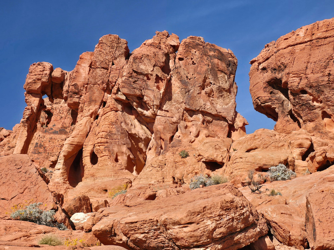 Prime Polaris Adventures - Duck Creek Village, Utah-Duck Creek Village必去景点