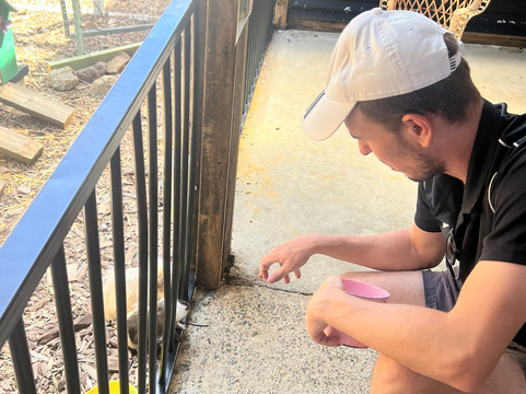 Scoops Farm-玛格丽特河必去景点