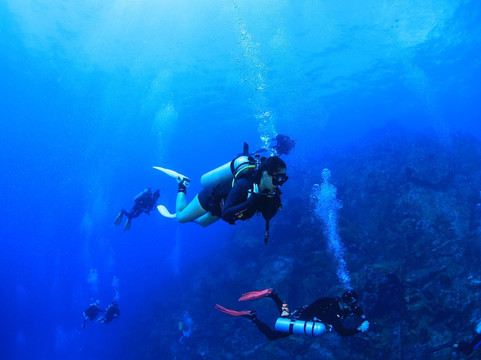 Fernado de Noronha Island-费尔南多-迪诺罗尼亚群岛必去景点