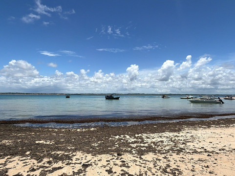 Ilha de Santo Aleixo-Sirinhaem必去景点