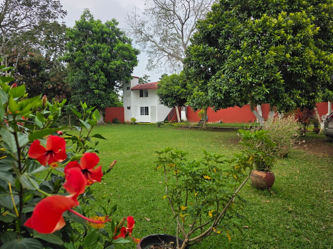 Hotel Los Cedros主图