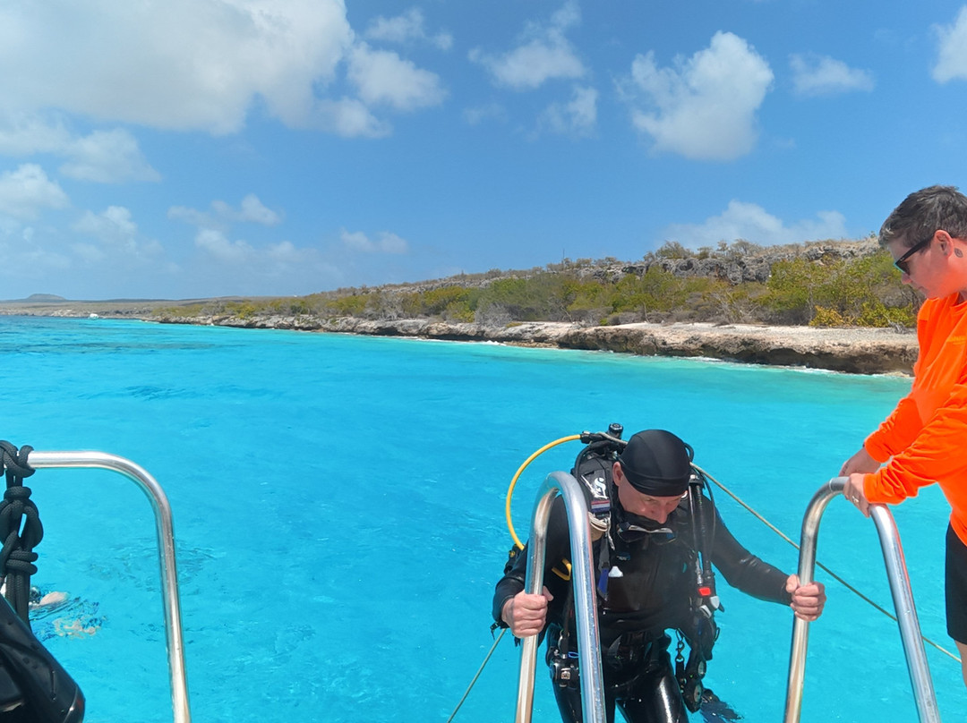Wannadive Bonaire-Kralendijk必去景点
