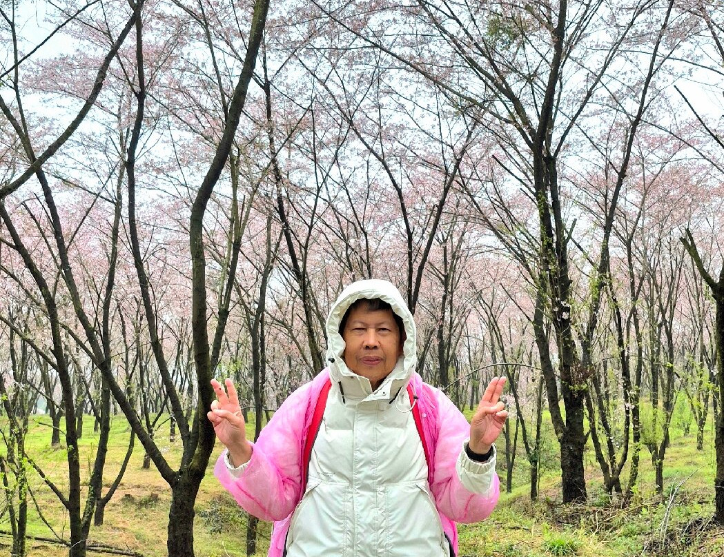 平坝农场-平坝县必去景点